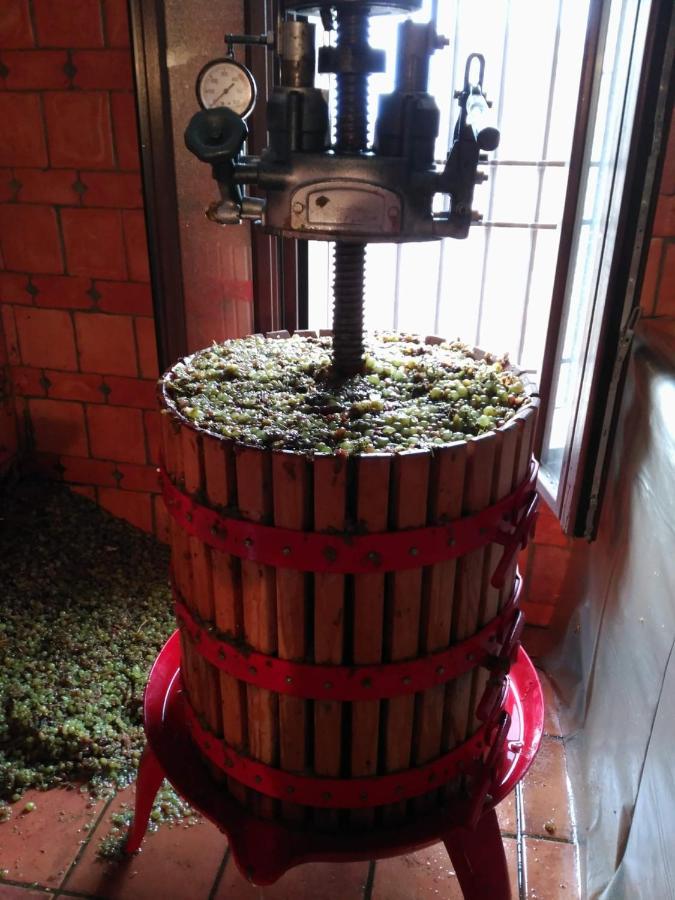 Casa Rural La Bodega, Ofrece Cata De Vino Gratis Horche Bagian luar foto