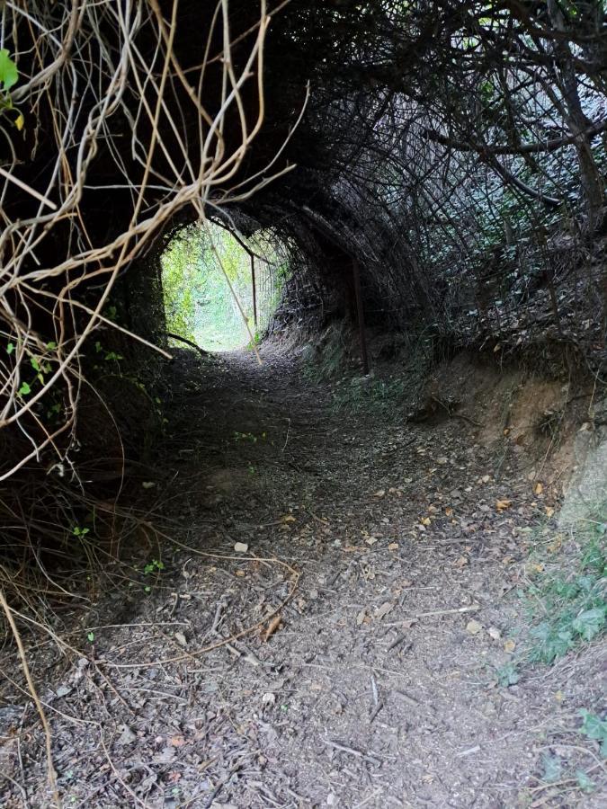 Casa Rural La Bodega, Ofrece Cata De Vino Gratis Horche Bagian luar foto
